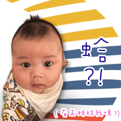 [LINEスタンプ] Zora's baby