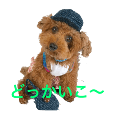 [LINEスタンプ] プードルジルのお返事 パート2