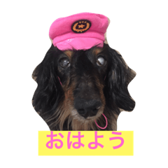 [LINEスタンプ] ももとはな