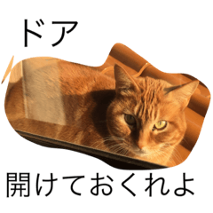 [LINEスタンプ] 猫ら3