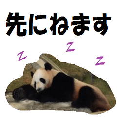 [LINEスタンプ] 動物たちが可愛くお返事