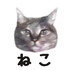 [LINEスタンプ] 癒しねこ2