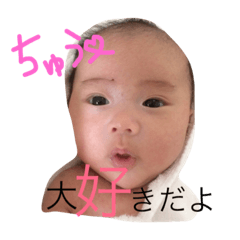[LINEスタンプ] ここにゃんLIFE