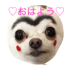 [LINEスタンプ] エルジュリシュガー