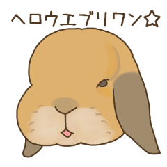 [LINEスタンプ] うさぎのWONDERLANDのなかまたち