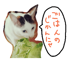 [LINEスタンプ] ミケネコの吹き出し