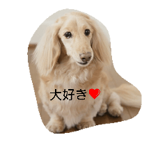 [LINEスタンプ] ミニチュアダックスのモルチュ君