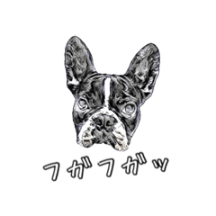 [LINEスタンプ] フレブル日常会話