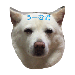 [LINEスタンプ] カレンの愉快な一日 ver.4