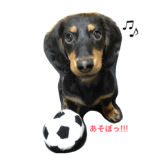 [LINEスタンプ] ネロpart.1