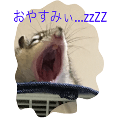 [LINEスタンプ] シマリス菜那のひととき2