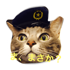 [LINEスタンプ] なな猫。