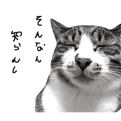 [LINEスタンプ] とらまる2