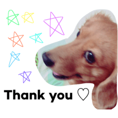 [LINEスタンプ] ちーび＆くぅぅ