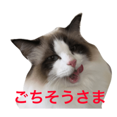 [LINEスタンプ] ららスタンプ