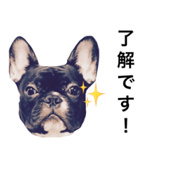 [LINEスタンプ] フレブルノアさんです2