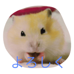 [LINEスタンプ] hamster is goodの画像（メイン）
