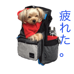 [LINEスタンプ] 凛ちゃんの日常2