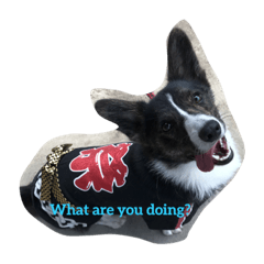 [LINEスタンプ] サブローくん祭りver.