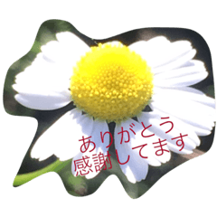 お花のキラキラメッセージ