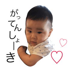 [LINEスタンプ] うちのしょきたん