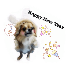 [LINEスタンプ] チワワの「悟飯」【実写版】