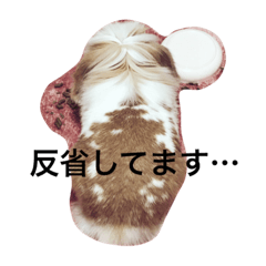 [LINEスタンプ] うさぎのふくさん。