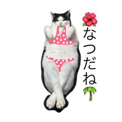 [LINEスタンプ] かつお第2弾