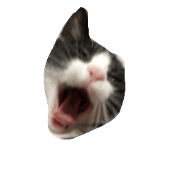 [LINEスタンプ] 猫の賢治