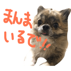 [LINEスタンプ] うなちゃんとしゃこちゃん