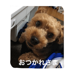 [LINEスタンプ] チョコだよ