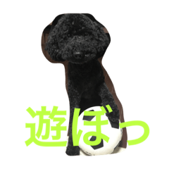 [LINEスタンプ] げんたろうくん