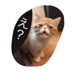 [LINEスタンプ] ぐりぐりお2