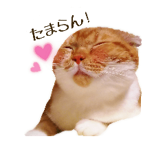 [LINEスタンプ] はるまる第2弾