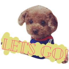 [LINEスタンプ] バニちゃん①