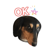 [LINEスタンプ] マタチャン
