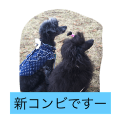 [LINEスタンプ] うちの家族inNA