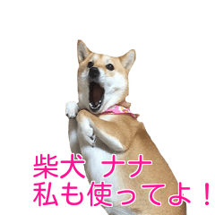[LINEスタンプ] 柴犬 ナナ 私も使ってよ！ 3.5.8