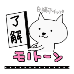 [LINEスタンプ] 白猫ホイップ♡モノトーンな楽しい日常会話の画像（メイン）
