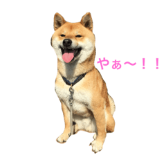 [LINEスタンプ] mukku325