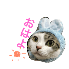 [LINEスタンプ] 毛玉きょうだいのスタンプ 1