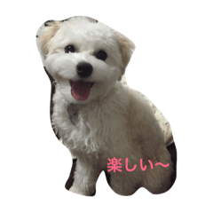 [LINEスタンプ] ハビーの日常
