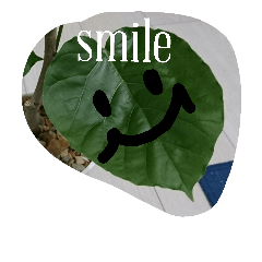 [LINEスタンプ] ウンベラータのウンベラくん