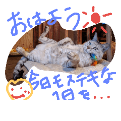 [LINEスタンプ] ハタネコ