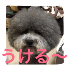 [LINEスタンプ] うにゆきちむぎスタンプ