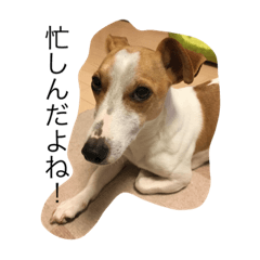 [LINEスタンプ] アンジーの独り言 2