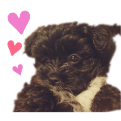 [LINEスタンプ] ホッピーすたんぷ