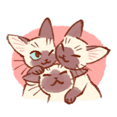 [LINEスタンプ] たいやきねこスタンプ