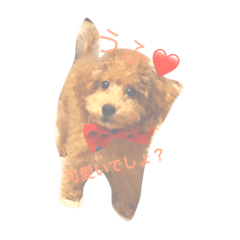 [LINEスタンプ] 可愛いtotoたん