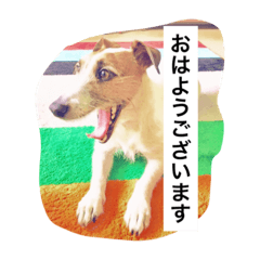 [LINEスタンプ] バズのスタンプ
